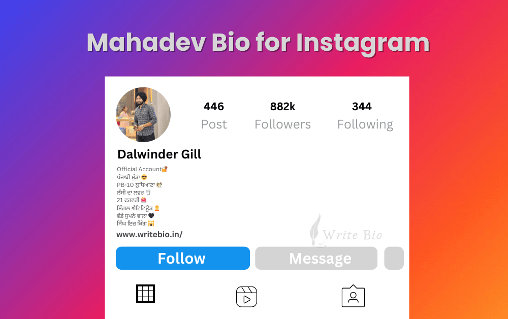 Punjabi Bio for Instagram