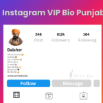 Instagram VIP Bio Punjabi